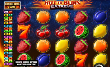 Hot to Burn Extreme Proces gry